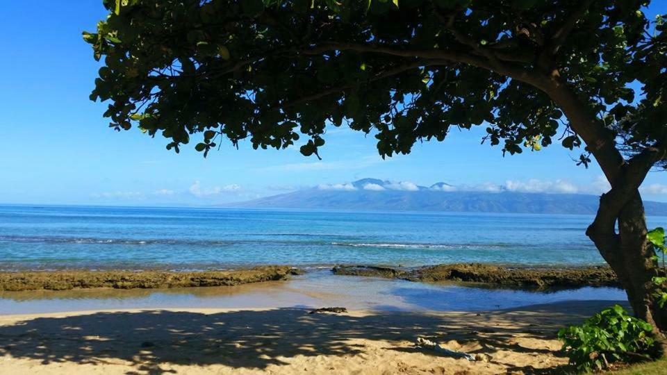 Lahaina Wonderful Condos Exterior photo